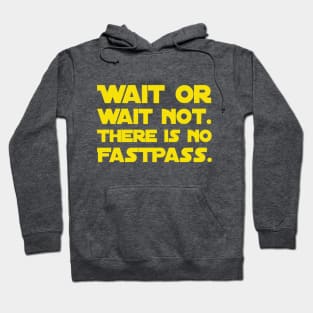 Wait Or Wait Not - There Is No FastPass Hoodie